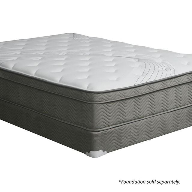 Afton 12 Euro Box Pocket Coil - Inland Furniture (San Bernardino, CA)