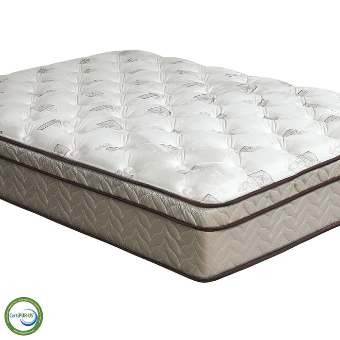 Lilium White/Brown 13" Euro Pillow Top, Queen - Inland Furniture (San Bernardino, CA)