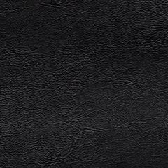 Emilia Sectional Loveseat