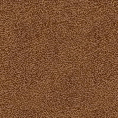 Carianna Sofa Sleeper - Inland Furniture (San Bernardino, CA)