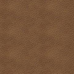 Bolsena Sofa Sleeper - Inland Furniture (San Bernardino, CA)