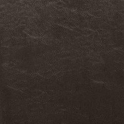 Kimonte Dining Chair - Inland Furniture (San Bernardino, CA)