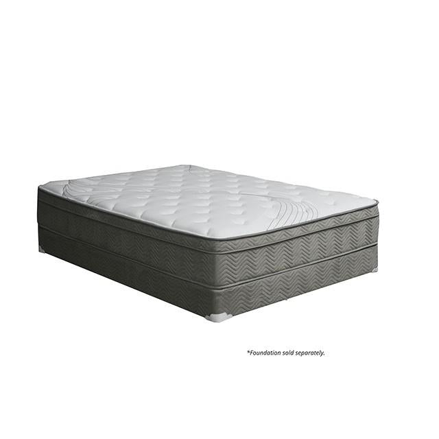 Afton 12 Euro Box Pocket Coil - Inland Furniture (San Bernardino, CA)
