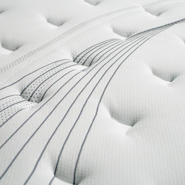 AFTON White/Gray 12" Euro Box Pocket Coil, Cal.King, E king, Full, & Queen - Inland Furniture (San Bernardino, CA)