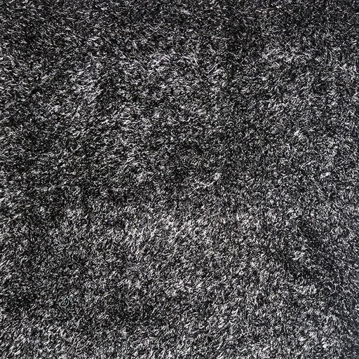 Annmarie Black 5' X 8' Area Rug - Inland Furniture (San Bernardino, CA)