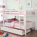 Cameron Dark Walnut, White & Gray Full/Full Bunk Bed - Inland Furniture (San Bernardino, CA)