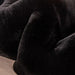 Caparica Black Throw, Black - Inland Furniture (San Bernardino, CA)