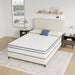 Catmint 10" Full Innerspring Mattress - Inland Furniture (San Bernardino, CA)