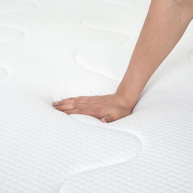 Catmint Mattress - Inland Furniture (San Bernardino, CA)