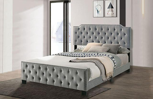Charlize Bed Grey & Navy - Inland Furniture (San Bernardino, CA)