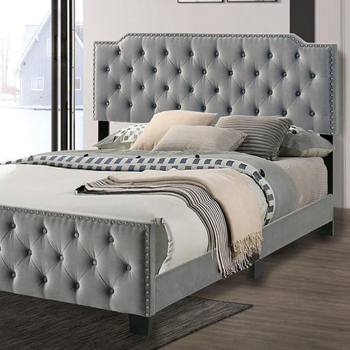 Charlize Bed Grey & Navy - Inland Furniture (San Bernardino, CA)