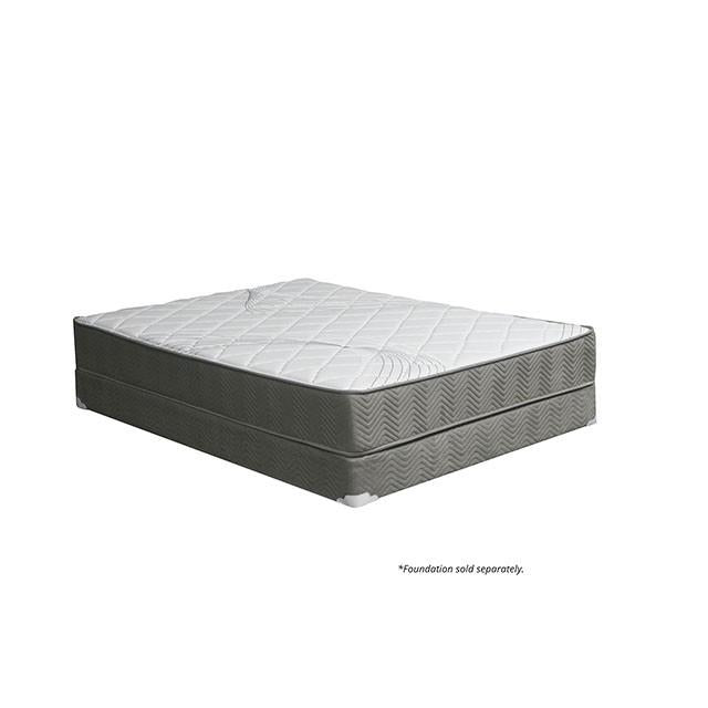 EDREA White/Gray 10" Tight Top Pocket Coil, Full - Inland Furniture (San Bernardino, CA)