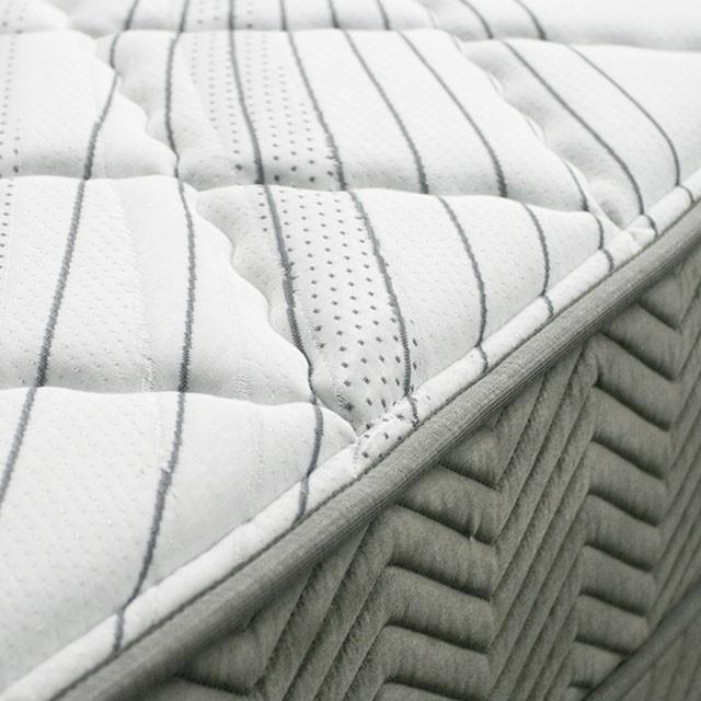 EDREA White/Gray 10" Tight Top Pocket Coil, Queen - Inland Furniture (San Bernardino, CA)