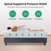 Forsythia 12" Queen Green Tea Gel Memory Foam - Inland Furniture (San Bernardino, CA)
