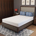Forsythia 8" Full Green Tea Gel Memory Foam - Inland Furniture (San Bernardino, CA)