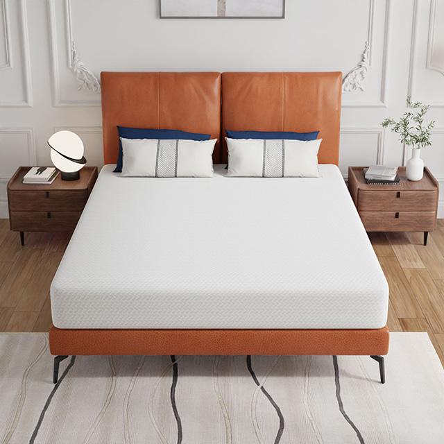 Forsythia 8" Queen Green Tea Gel Memory Foam - Inland Furniture (San Bernardino, CA)