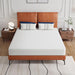 Forsythia 8" Queen Green Tea Gel Memory Foam - Inland Furniture (San Bernardino, CA)