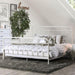 IRIA Vintage White Cal.King, E.King, & Full Bed - Inland Furniture (San Bernardino, CA)
