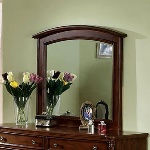 Spring Ray Mirror image