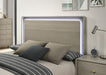 Rainier Queen Bedroom Set Gray - Inland Furniture (San Bernardino, CA)