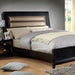 Golva Bed Beige & Black - Inland Furniture (San Bernardino, CA)