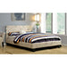 Evans E.King & Cal.King Bed Espressso, White, & Camel - Inland Furniture (San Bernardino, CA)