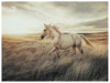 Errolville Wall Art - Inland Furniture (San Bernardino, CA)
