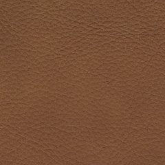 Magic Man 5-Piece Power Reclining Sectional - Inland Furniture (San Bernardino, CA)