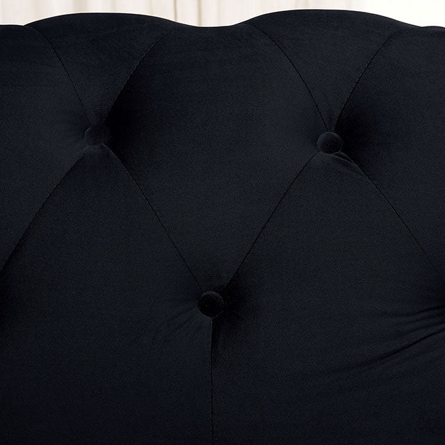Giacomo Loveseat Black - Inland Furniture (San Bernardino, CA)