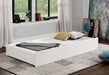 Lycoris Trundle/Drawer - Inland Furniture (San Bernardino, CA)