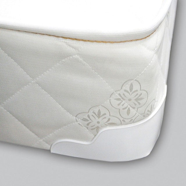 Daisy White 8" Bunkie Board Combo Mattress, Queen - Inland Furniture (San Bernardino, CA)