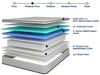 Salvia 12" Queen Hybrid Pocket Coil Mattress - Inland Furniture (San Bernardino, CA)