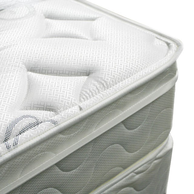 JALEN White 9" Euro Top Mattress, Full - Inland Furniture (San Bernardino, CA)