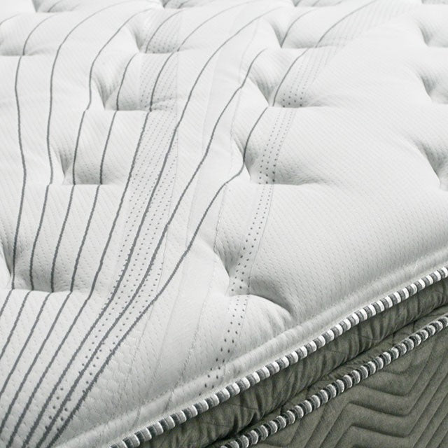 Stormin 13 Euro Pillow Top Gel Infused Memory Foam - Inland Furniture (San Bernardino, CA)