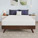 Nasturtium 8" Full Bamboo Charcoal Infused Memory Foam - Inland Furniture (San Bernardino, CA)