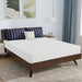 Nasturtium Mattress - Inland Furniture (San Bernardino, CA)