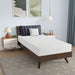 Nasturtium 8" Twin Bamboo Charcoal Infused Memory Foam - Inland Furniture (San Bernardino, CA)