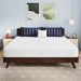 Nasturtium 10" E.King Bamboo Charcoal Infused Memory Foam - Inland Furniture (San Bernardino, CA)