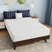 Nasturtium 10" Full Bamboo Charcoal Infused Memory Foam - Inland Furniture (San Bernardino, CA)