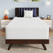 Nasturtium 12" Twin Bamboo Charcoal Infused Memory Foam - Inland Furniture (San Bernardino, CA)