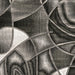 SIVAS 8' X 10' Area Rug - Inland Furniture (San Bernardino, CA)